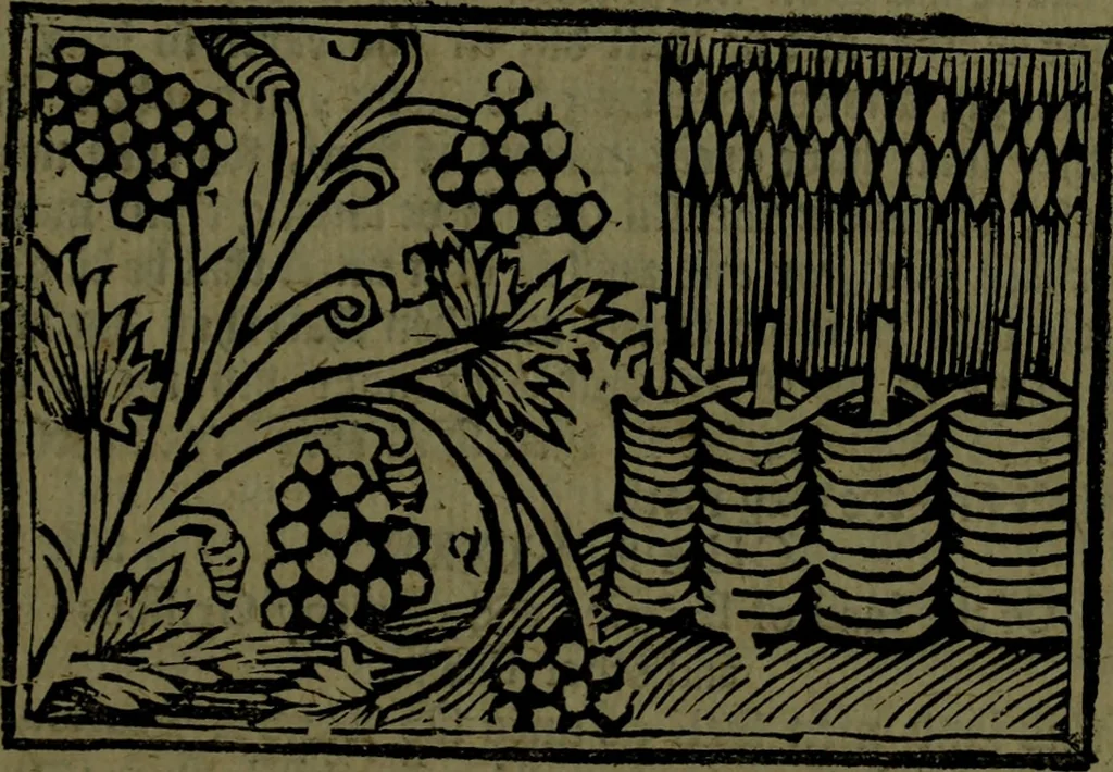 An illustration from The voyages & travels of Sir John Mandevile, Knight, wherein is set down the way to the Holy Land, and to Hierusalem, as also to the lands of the great Caan, and of Prestor John, to Inde, and divers other countries, together with many and strange marvels therein, 1684, leaf 126