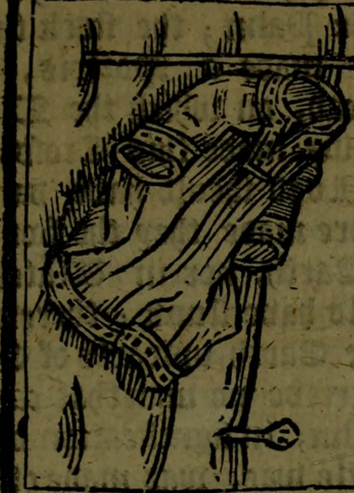 An illustration from The voyages & travels of Sir John Mandevile, Knight, wherein is set down the way to the Holy Land, and to Hierusalem, as also to the lands of the great Caan, and of Prestor John, to Inde, and divers other countries, together with many and strange marvels therein, 1684, leaf 14