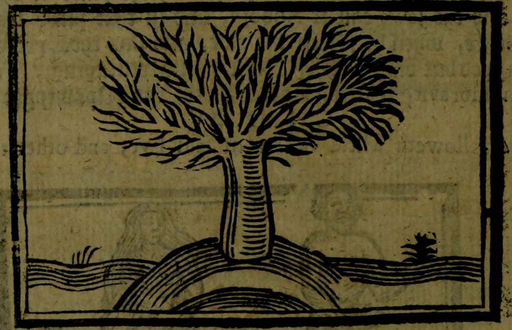 An illustration from The voyages & travels of Sir John Mandevile, Knight, wherein is set down the way to the Holy Land, and to Hierusalem, as also to the lands of the great Caan, and of Prestor John, to Inde, and divers other countries, together with many and strange marvels therein, 1684, leaf 35