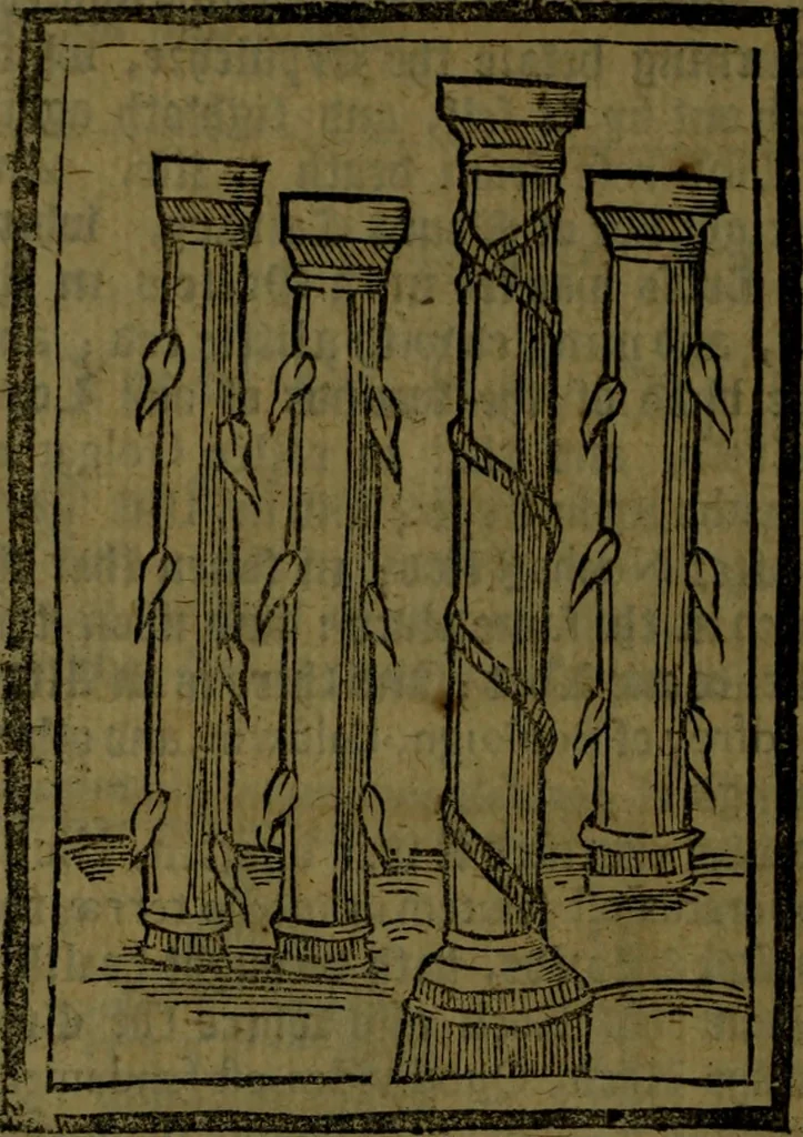 An illustration from The voyages & travels of Sir John Mandevile, Knight, wherein is set down the way to the Holy Land, and to Hierusalem, as also to the lands of the great Caan, and of Prestor John, to Inde, and divers other countries, together with many and strange marvels therein, 1684, leaf 41