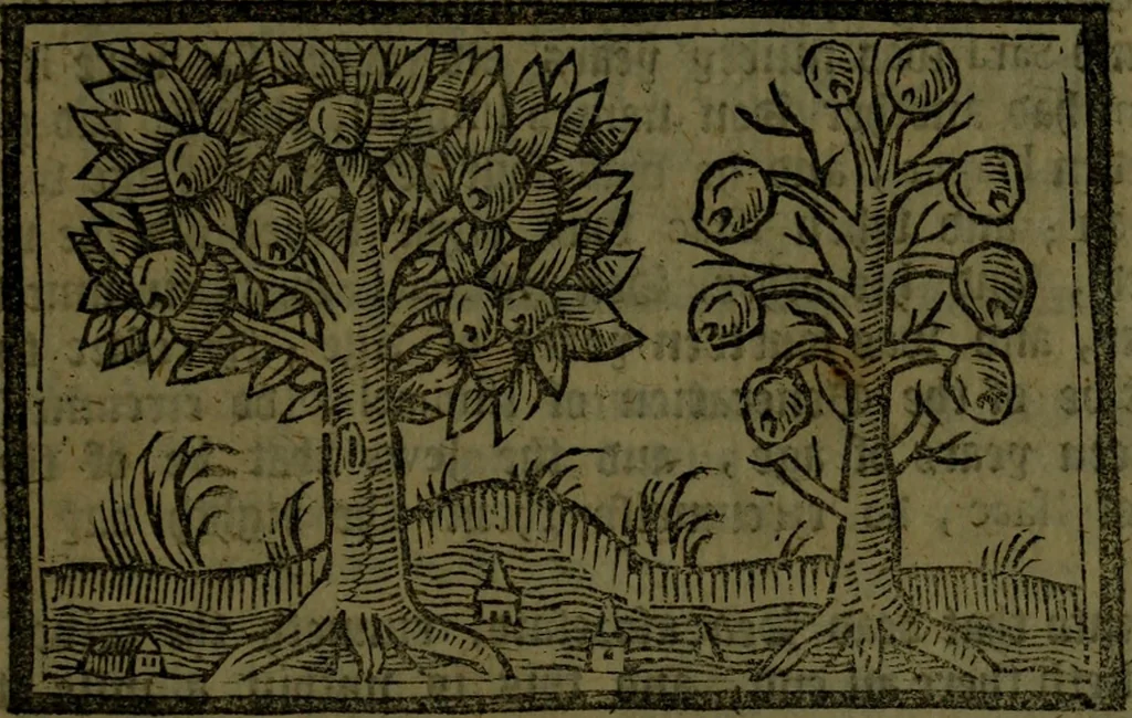 An illustration from The voyages & travels of Sir John Mandevile, Knight, wherein is set down the way to the Holy Land, and to Hierusalem, as also to the lands of the great Caan, and of Prestor John, to Inde, and divers other countries, together with many and strange marvels therein, 1684, leaf 54