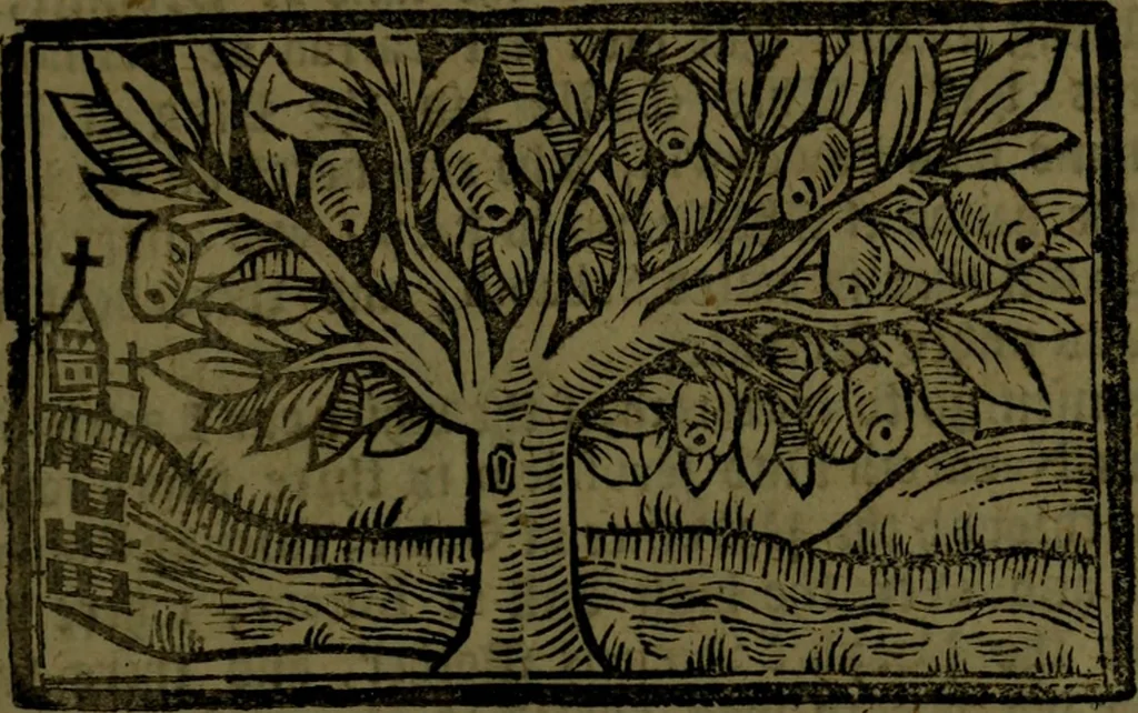 An illustration from The voyages & travels of Sir John Mandevile, Knight, wherein is set down the way to the Holy Land, and to Hierusalem, as also to the lands of the great Caan, and of Prestor John, to Inde, and divers other countries, together with many and strange marvels therein, 1684, leaf 56