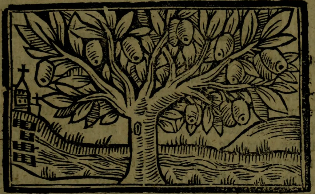 An illustration from The voyages & travels of Sir John Mandevile, Knight, wherein is set down the way to the Holy Land, and to Hierusalem, as also to the lands of the great Caan, and of Prestor John, to Inde, and divers other countries, together with many and strange marvels therein, 1684, leaf 62