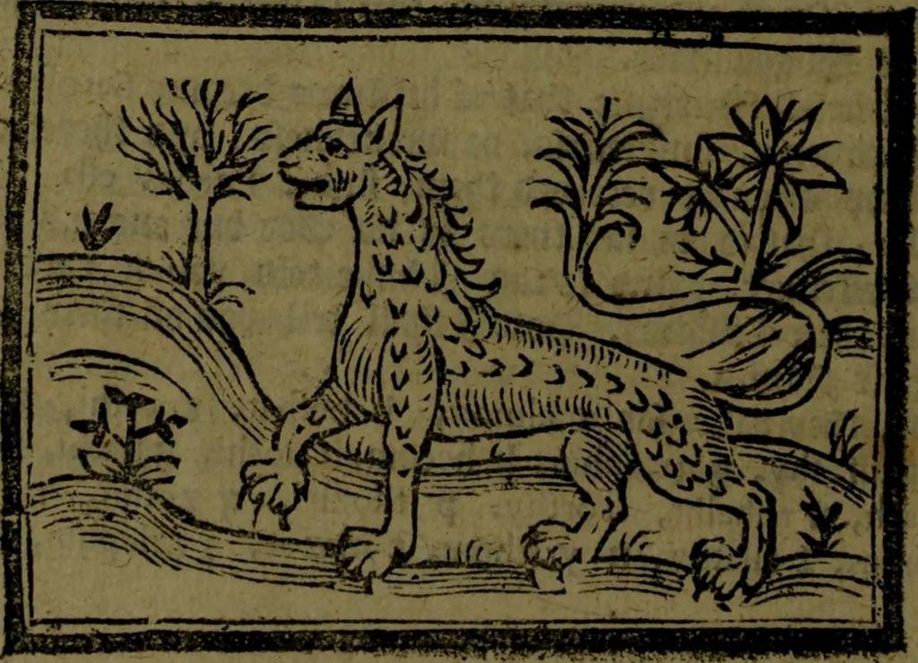 An illustration from The voyages & travels of Sir John Mandevile, Knight, wherein is set down the way to the Holy Land, and to Hierusalem, as also to the lands of the great Caan, and of Prestor John, to Inde, and divers other countries, together with many and strange marvels therein, 1684, leaf 77