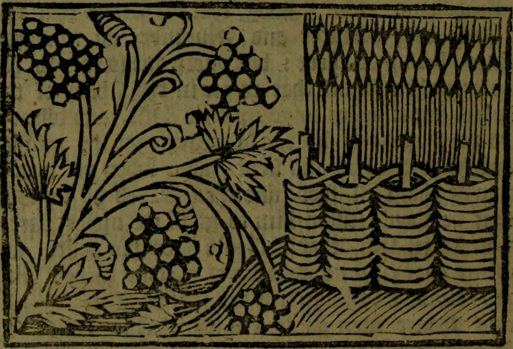An illustration from The voyages & travels of Sir John Mandevile, Knight, wherein is set down the way to the Holy Land, and to Hierusalem, as also to the lands of the great Caan, and of Prestor John, to Inde, and divers other countries, together with many and strange marvels therein, 1684, leaf 81