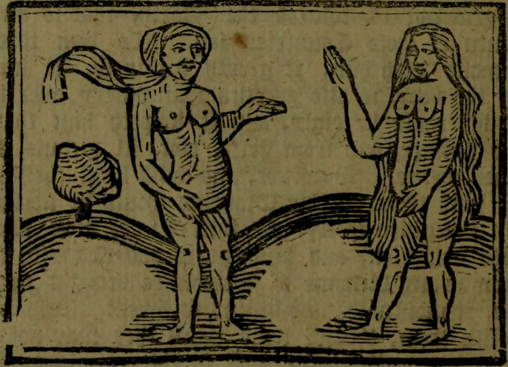 An illustration from The voyages & travels of Sir John Mandevile, Knight, wherein is set down the way to the Holy Land, and to Hierusalem, as also to the lands of the great Caan, and of Prestor John, to Inde, and divers other countries, together with many and strange marvels therein, 1684, leaf 87
