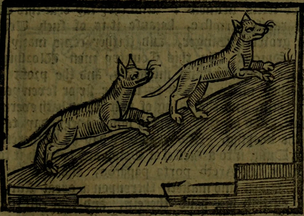 An illustration from The voyages & travels of Sir John Mandevile, Knight, wherein is set down the way to the Holy Land, and to Hierusalem, as also to the lands of the great Caan, and of Prestor John, to Inde, and divers other countries, together with many and strange marvels therein, 1684, leaf 90