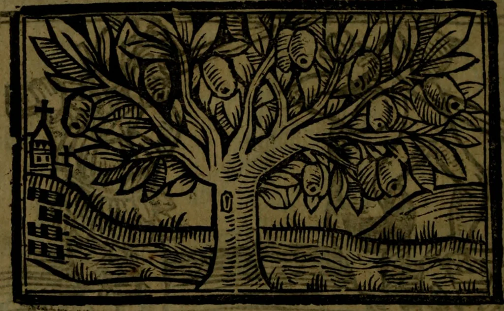 An illustration from The voyages & travels of Sir John Mandevile, Knight, wherein is set down the way to the Holy Land, and to Hierusalem, as also to the lands of the great Caan, and of Prestor John, to Inde, and divers other countries, together with many and strange marvels therein, 1684, leaf 97