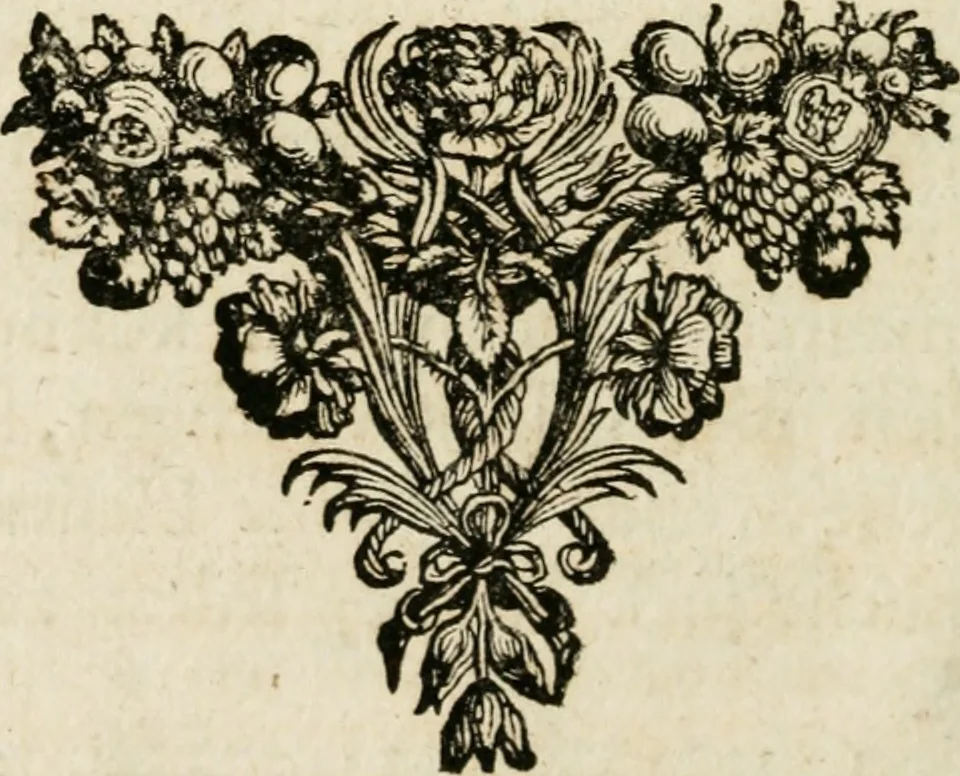 An illustration from Voyagie door Italien, Dalmatien, Grieckenland, en de Levant. Gedaan in de jaren 1675 en 1676, 1689, leaf 11