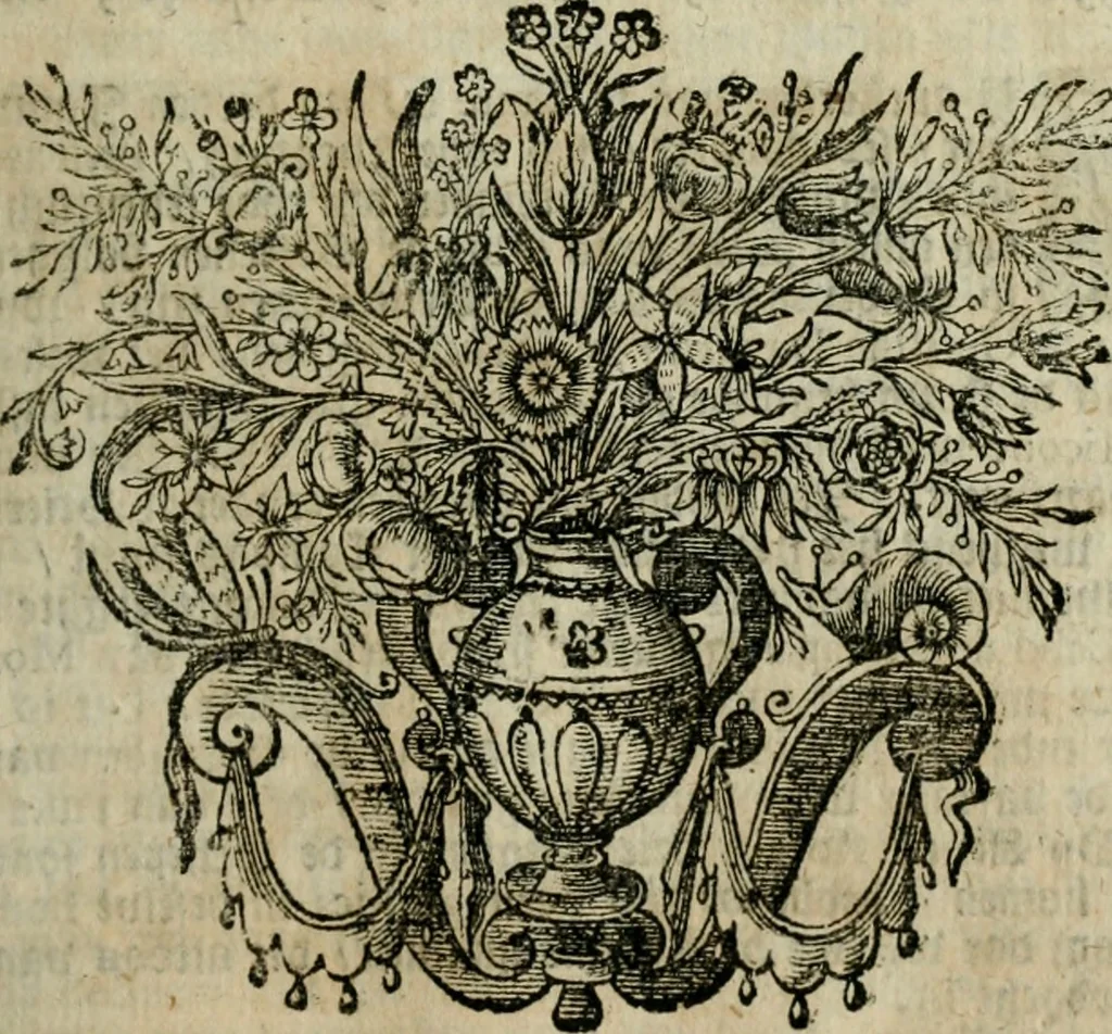 An illustration from Voyagie door Italien, Dalmatien, Grieckenland, en de Levant. Gedaan in de jaren 1675 en 1676, 1689, leaf 184