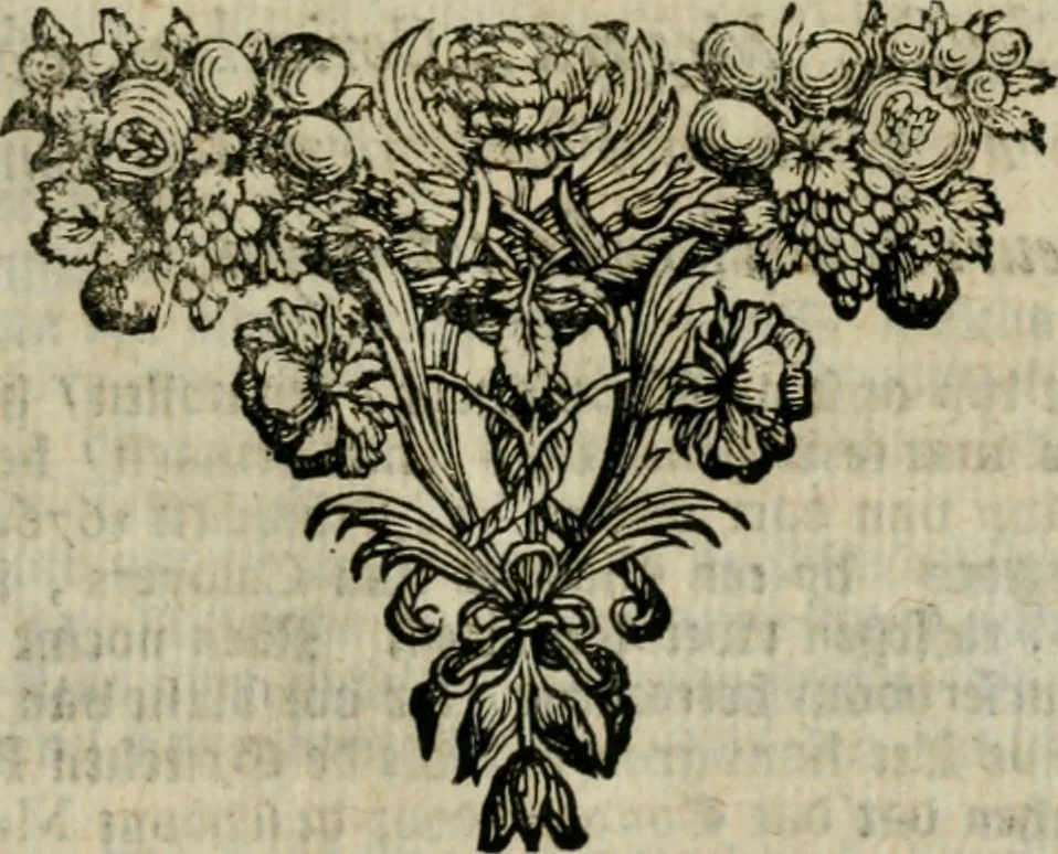 An illustration from Voyagie door Italien, Dalmatien, Grieckenland, en de Levant. Gedaan in de jaren 1675 en 1676, 1689, leaf 300