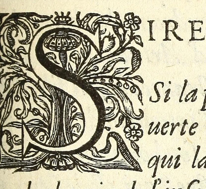 An illustration from Vrais et bons advis de Francois fidele svr les calomnies et blasphemes dv Sr des Montagnes, ov, Examen dv Libelle intitulé Defense du Roy et de ses Ministres, 1631, leaf 5