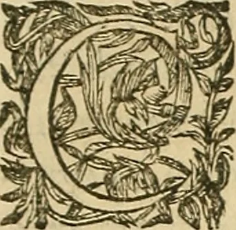 An illustration from Vranologion sive systema variorvm avtorvm..., 1630, leaf 13