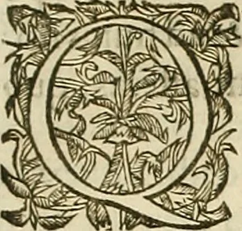 An illustration from Vranologion sive systema variorvm avtorvm..., 1630, leaf 17