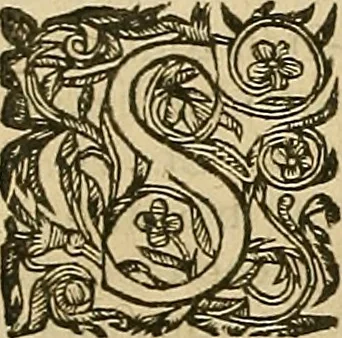 An illustration from Vranologion sive systema variorvm avtorvm..., 1630, leaf 257