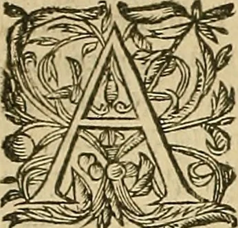An illustration from Vranologion sive systema variorvm avtorvm..., 1630, leaf 275