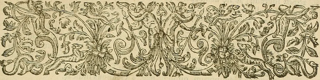 An illustration from Vranologion sive systema variorvm avtorvm..., 1630, leaf 424