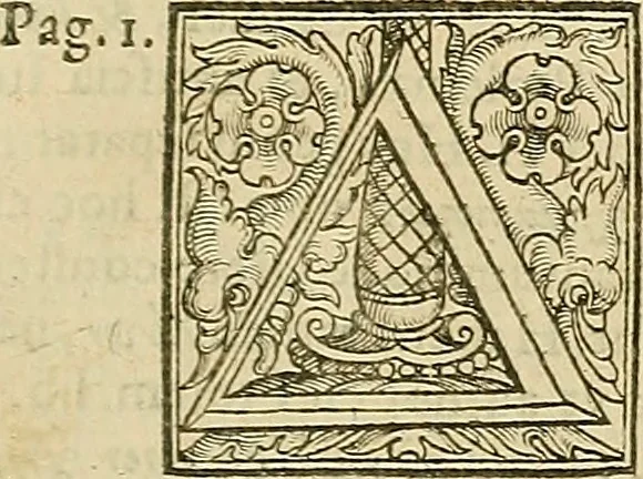 An illustration from Vranologion sive systema variorvm avtorvm..., 1630, leaf 424