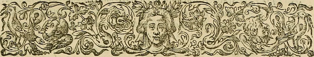 An illustration from Vranologion sive systema variorvm avtorvm..., 1630, leaf 452