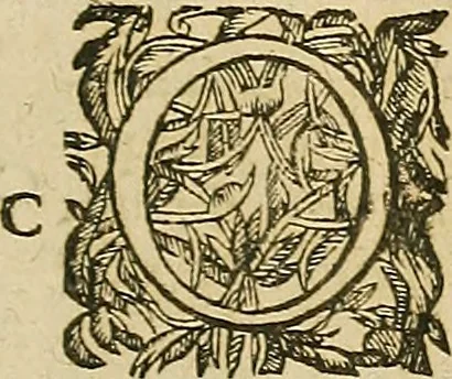 An illustration from Vranologion sive systema variorvm avtorvm..., 1630, leaf 460