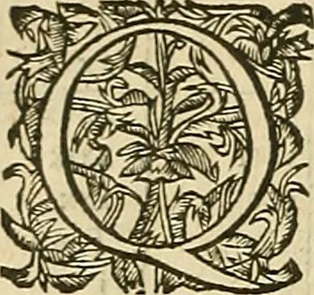 An illustration from Vranologion sive systema variorvm avtorvm..., 1630, leaf 525
