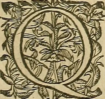 An illustration from Vranologion sive systema variorvm avtorvm..., 1630, leaf 534