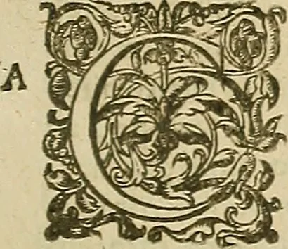 An illustration from Vranologion sive systema variorvm avtorvm..., 1630, leaf 594