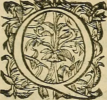 An illustration from Vranologion sive systema variorvm avtorvm..., 1630, leaf 596