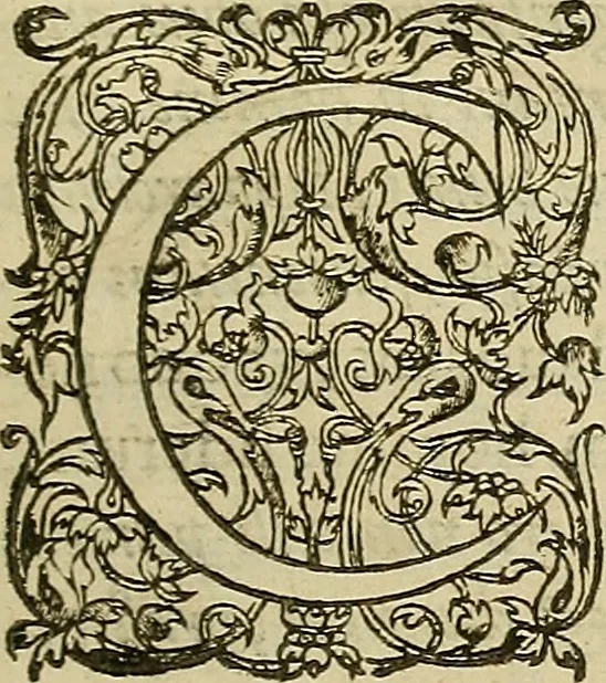 An illustration from Vranologion sive systema variorvm avtorvm..., 1630, leaf 6