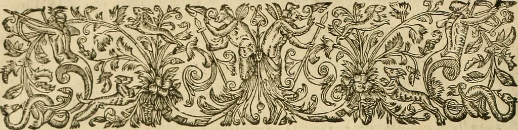 An illustration from Vranologion sive systema variorvm avtorvm..., 1630, leaf 711