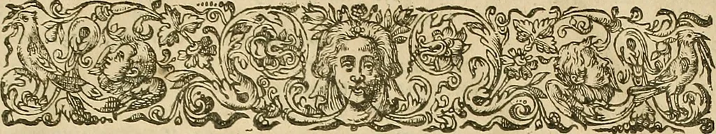 An illustration from Vranologion sive systema variorvm avtorvm..., 1630, leaf 798