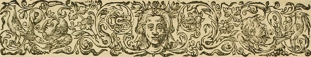 An illustration from Vranologion sive systema variorvm avtorvm..., 1630, leaf 802