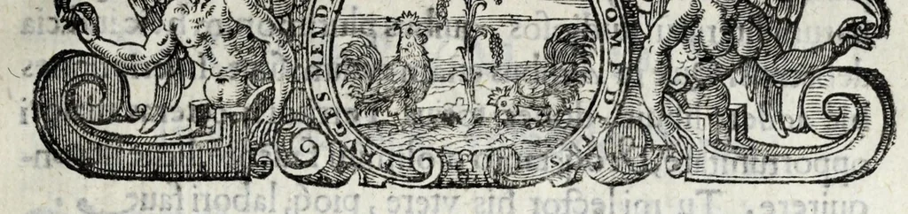 An illustration from Vrbis Patauinae inscriptiones sacrae et prophanae : quibus templorum & altarium exstructiones atq[ue] dedicationes, coenobiorum quoq[ue] aedificia, primorum iuxta ciuium ac recentiorum familię nomina, coniugia, & liberi, magistratus ac honores diuersi : doctorum praeterea omni disciplinarum genere in urbe atq[ue] Gymnasio Patauino clarissimorum, itemq[ue] principum, nobilium & aduenarum, artificum praeterea insignium monumenta, 1649, leaf 11