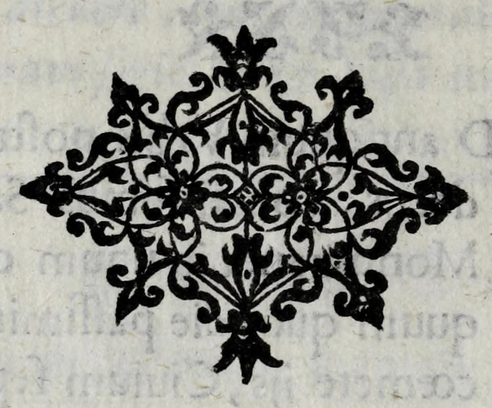 An illustration from Vrbis Patauinae inscriptiones sacrae et prophanae : quibus templorum & altarium exstructiones atq[ue] dedicationes, coenobiorum quoq[ue] aedificia, primorum iuxta ciuium ac recentiorum familię nomina, coniugia, & liberi, magistratus ac honores diuersi : doctorum praeterea omni disciplinarum genere in urbe atq[ue] Gymnasio Patauino clarissimorum, itemq[ue] principum, nobilium & aduenarum, artificum praeterea insignium monumenta, 1649, leaf 12