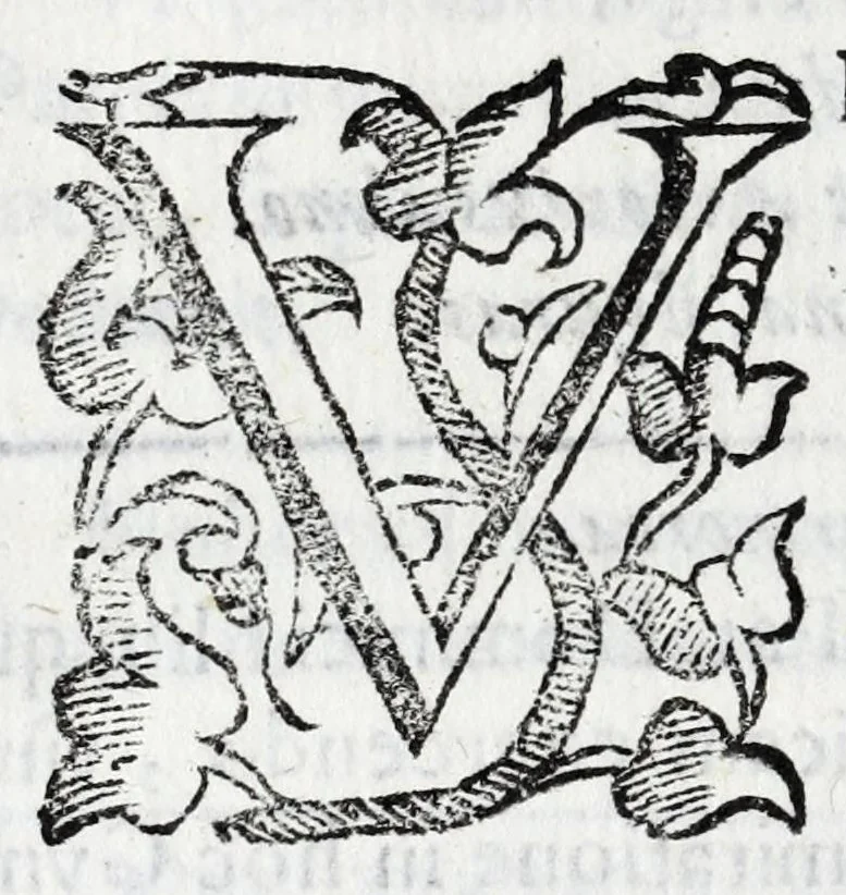 An illustration from Vrbis Patauinae inscriptiones sacrae et prophanae : quibus templorum & altarium exstructiones atq[ue] dedicationes, coenobiorum quoq[ue] aedificia, primorum iuxta ciuium ac recentiorum familię nomina, coniugia, & liberi, magistratus ac honores diuersi : doctorum praeterea omni disciplinarum genere in urbe atq[ue] Gymnasio Patauino clarissimorum, itemq[ue] principum, nobilium & aduenarum, artificum praeterea insignium monumenta, 1649, leaf 148