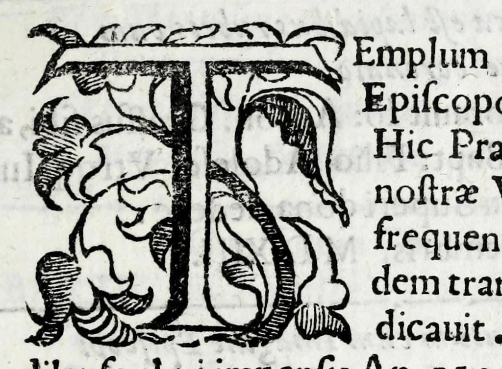 An illustration from Vrbis Patauinae inscriptiones sacrae et prophanae : quibus templorum & altarium exstructiones atq[ue] dedicationes, coenobiorum quoq[ue] aedificia, primorum iuxta ciuium ac recentiorum familię nomina, coniugia, & liberi, magistratus ac honores diuersi : doctorum praeterea omni disciplinarum genere in urbe atq[ue] Gymnasio Patauino clarissimorum, itemq[ue] principum, nobilium & aduenarum, artificum praeterea insignium monumenta, 1649, leaf 49