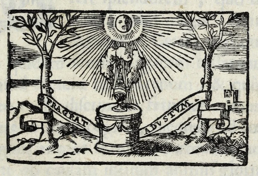An illustration from Vrbis Patauinae inscriptiones sacrae et prophanae : quibus templorum & altarium exstructiones atq[ue] dedicationes, coenobiorum quoq[ue] aedificia, primorum iuxta ciuium ac recentiorum familię nomina, coniugia, & liberi, magistratus ac honores diuersi : doctorum praeterea omni disciplinarum genere in urbe atq[ue] Gymnasio Patauino clarissimorum, itemq[ue] principum, nobilium & aduenarum, artificum praeterea insignium monumenta, 1649, leaf 5