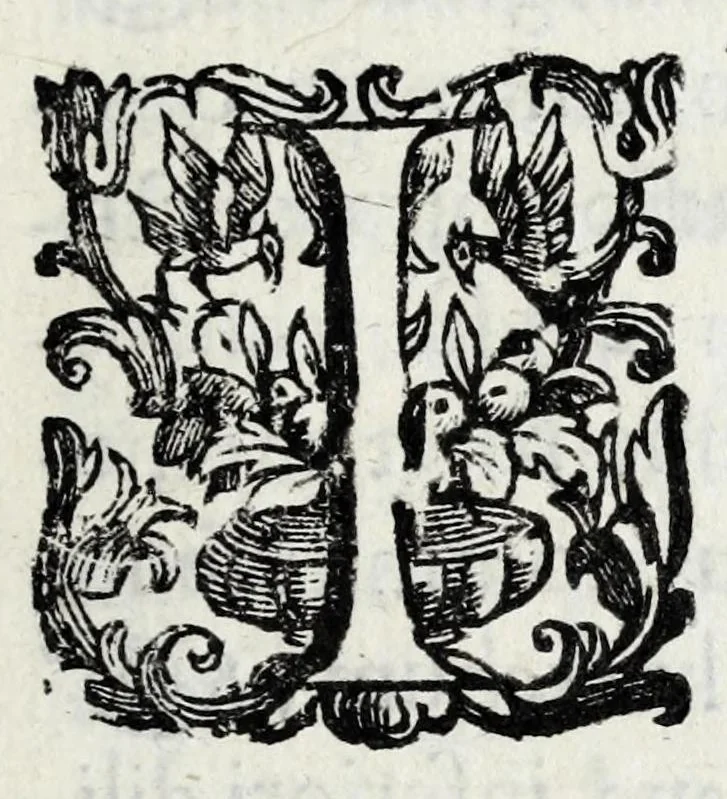 An illustration from Vrbis Patauinae inscriptiones sacrae et prophanae : quibus templorum & altarium exstructiones atq[ue] dedicationes, coenobiorum quoq[ue] aedificia, primorum iuxta ciuium ac recentiorum familię nomina, coniugia, & liberi, magistratus ac honores diuersi : doctorum praeterea omni disciplinarum genere in urbe atq[ue] Gymnasio Patauino clarissimorum, itemq[ue] principum, nobilium & aduenarum, artificum praeterea insignium monumenta, 1649, leaf 7