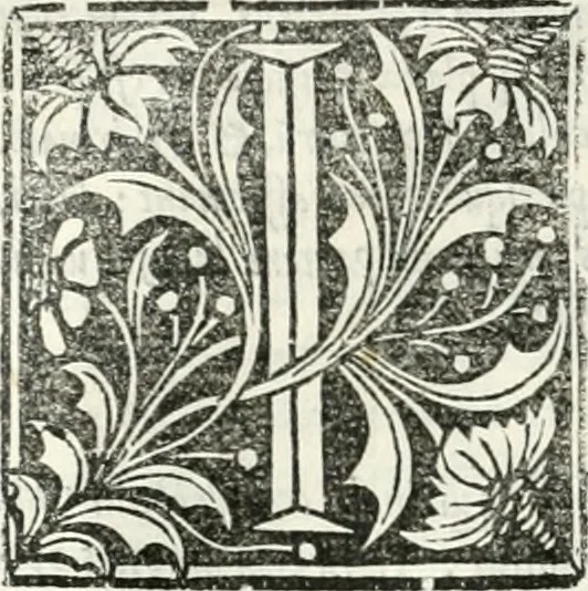 An illustration from Vrbis Romae topographia : nvper ab ipso avctore nonnvllis erroribvs svblatis emandata, addita etiam interpretatione nominum quæ unica litera uel syllaba in antiquis titulis scripta inueniuntur : cvi etiam ab eodem adiectae svnt qvam breuissimæ obseruationes de prænomine, nomine, & cognomine de quibus etsi multi multa scripsere nemo tamen hactenus rei ueritatem attigisse videtur, 1544, leaf 121