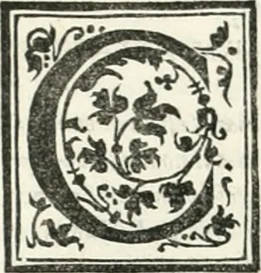 An illustration from Vrbis Romae topographia : nvper ab ipso avctore nonnvllis erroribvs svblatis emandata, addita etiam interpretatione nominum quæ unica litera uel syllaba in antiquis titulis scripta inueniuntur : cvi etiam ab eodem adiectae svnt qvam breuissimæ obseruationes de prænomine, nomine, & cognomine de quibus etsi multi multa scripsere nemo tamen hactenus rei ueritatem attigisse videtur, 1544, leaf 19