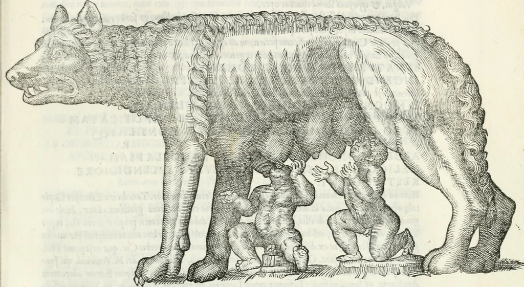 An illustration from Vrbis Romae topographia : nvper ab ipso avctore nonnvllis erroribvs svblatis emandata, addita etiam interpretatione nominum quæ unica litera uel syllaba in antiquis titulis scripta inueniuntur : cvi etiam ab eodem adiectae svnt qvam breuissimæ obseruationes de prænomine, nomine, & cognomine de quibus etsi multi multa scripsere nemo tamen hactenus rei ueritatem attigisse videtur, 1544, leaf 56