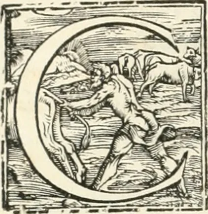 An illustration from Vrbis Romae topographia : nvper ab ipso avctore nonnvllis erroribvs svblatis emandata, addita etiam interpretatione nominum quæ unica litera uel syllaba in antiquis titulis scripta inueniuntur : cvi etiam ab eodem adiectae svnt qvam breuissimæ obseruationes de prænomine, nomine, & cognomine de quibus etsi multi multa scripsere nemo tamen hactenus rei ueritatem attigisse videtur, 1544, leaf 7