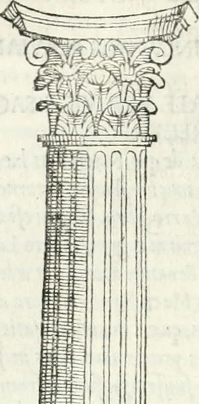 An illustration from Vrbis Romae topographia : nvper ab ipso avctore nonnvllis erroribvs svblatis emandata, addita etiam interpretatione nominum quæ unica litera uel syllaba in antiquis titulis scripta inueniuntur : cvi etiam ab eodem adiectae svnt qvam breuissimæ obseruationes de prænomine, nomine, & cognomine de quibus etsi multi multa scripsere nemo tamen hactenus rei ueritatem attigisse videtur, 1544, leaf 71