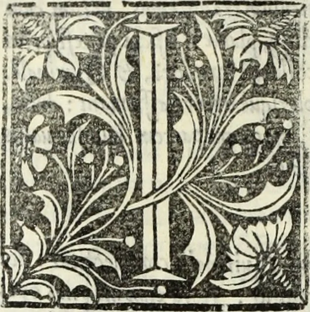 An illustration from Vrbis Romae topographia. Nvper ab ipso avctore nonnvllis erroribvs svblatis emendata. Addita etiam interpretatione Nominum, quae unica Litera, uel Syllaba in antiquis titulis scripta inueniuntur. Cui etiam ab eodem adiectae svnt qvam-breuissimae obseruationes de praenomine, nomine, & cognomine. De quibus etsi multi multa scriptsere, nemo tamen hactenus rei ueritatem attigisse videtur, 1544, leaf 109