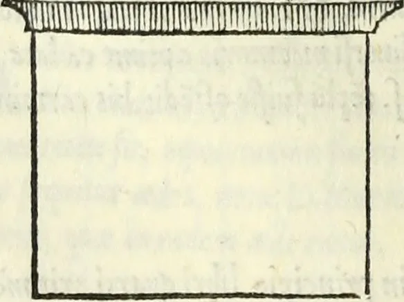 An illustration from Vrbis Romae topographia. Nvper ab ipso avctore nonnvllis erroribvs svblatis emendata. Addita etiam interpretatione Nominum, quae unica Litera, uel Syllaba in antiquis titulis scripta inueniuntur. Cui etiam ab eodem adiectae svnt qvam-breuissimae obseruationes de praenomine, nomine, & cognomine. De quibus etsi multi multa scriptsere, nemo tamen hactenus rei ueritatem attigisse videtur, 1544, leaf 59