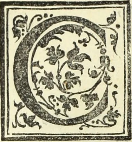 An illustration from Vrbis Romae topographia. Nvper ab ipso avctore nonnvllis erroribvs svblatis emendata. Addita etiam interpretatione Nominum, quae unica Litera, uel Syllaba in antiquis titulis scripta inueniuntur. Cui etiam ab eodem adiectae svnt qvam-breuissimae obseruationes de praenomine, nomine, & cognomine. De quibus etsi multi multa scriptsere, nemo tamen hactenus rei ueritatem attigisse videtur, 1544, leaf 7