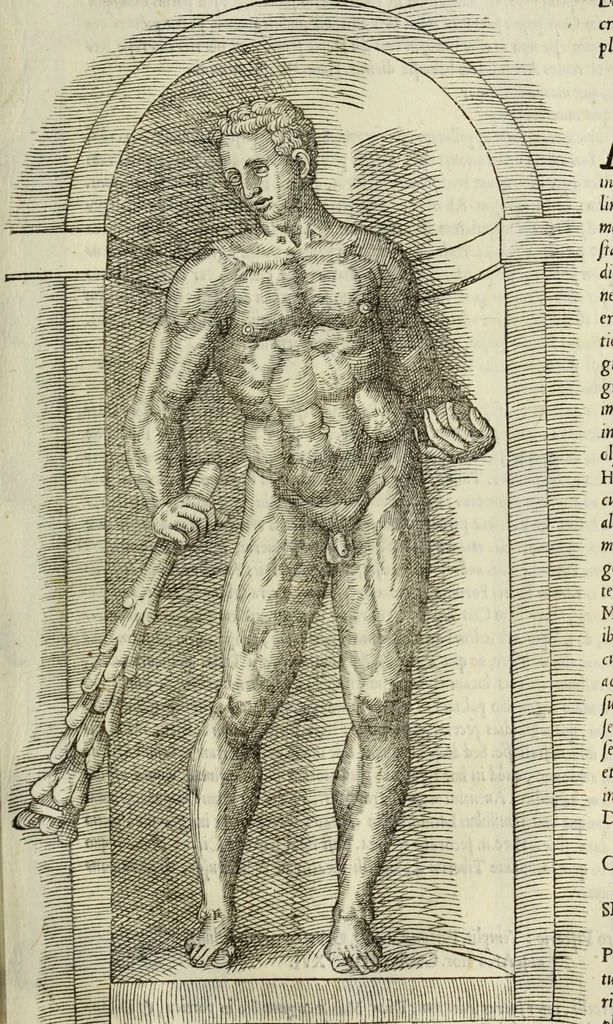 An illustration from Vrbis Romae topographia. Nvper ab ipso avctore nonnvllis erroribvs svblatis emendata. Addita etiam interpretatione Nominum, quae unica Litera, uel Syllaba in antiquis titulis scripta inueniuntur. Cui etiam ab eodem adiectae svnt qvam-breuissimae obseruationes de praenomine, nomine, & cognomine. De quibus etsi multi multa scriptsere, nemo tamen hactenus rei ueritatem attigisse videtur, 1544, leaf 72