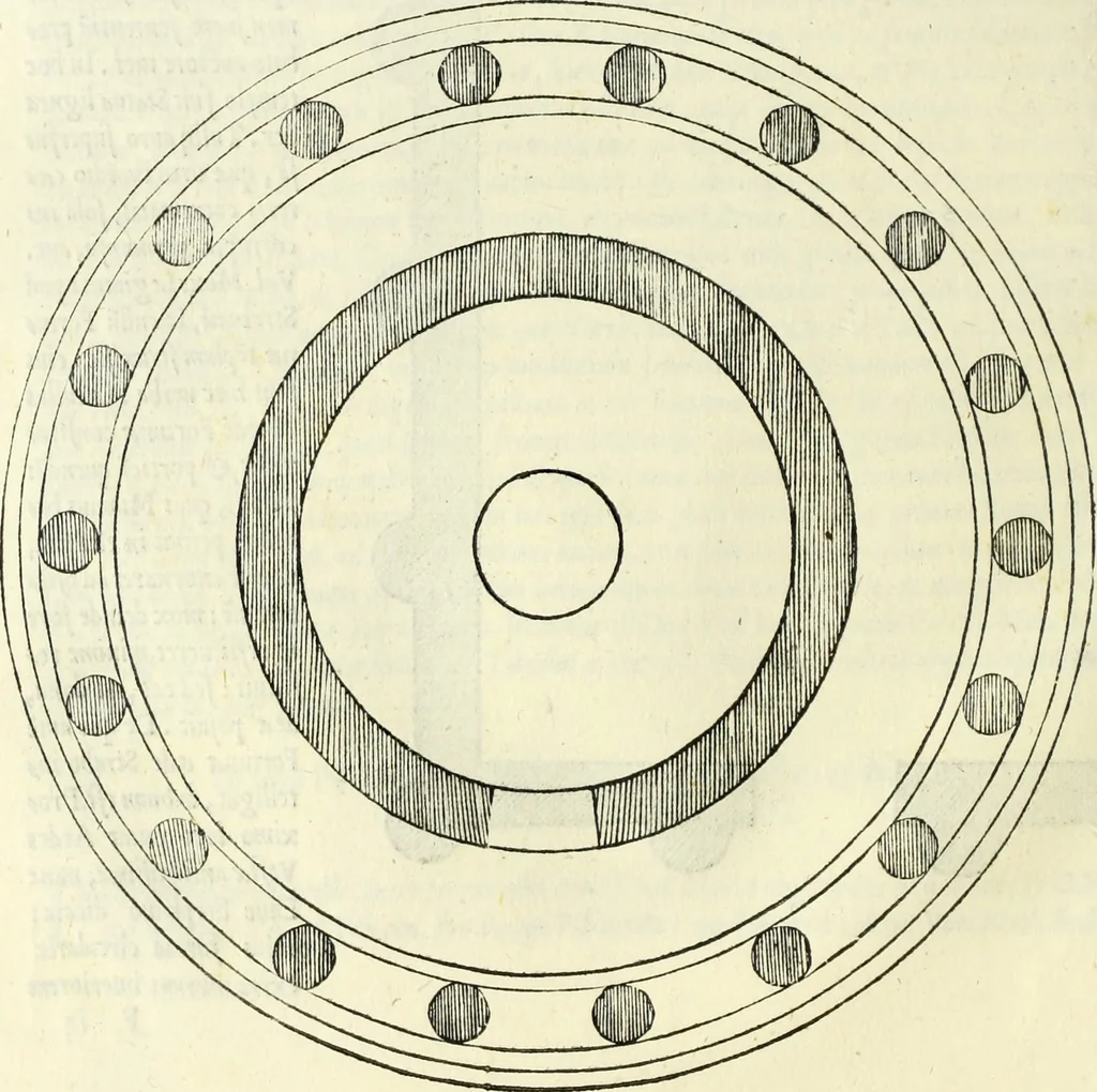 An illustration from Vrbis Romae topographia. Nvper ab ipso avctore nonnvllis erroribvs svblatis emendata. Addita etiam interpretatione Nominum, quae unica Litera, uel Syllaba in antiquis titulis scripta inueniuntur. Cui etiam ab eodem adiectae svnt qvam-breuissimae obseruationes de praenomine, nomine, & cognomine. De quibus etsi multi multa scriptsere, nemo tamen hactenus rei ueritatem attigisse videtur, 1544, leaf 75