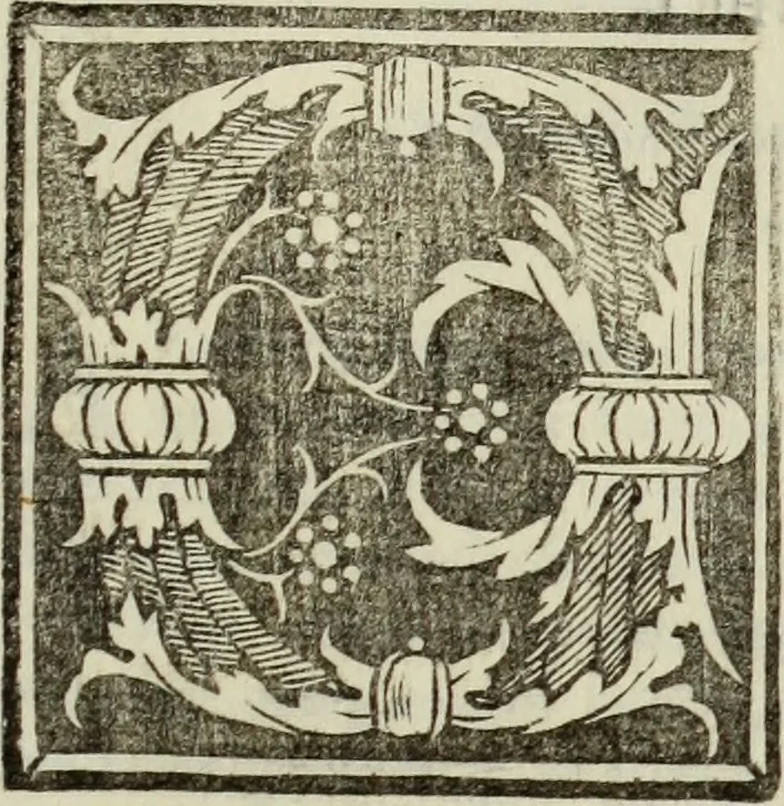 An illustration from Vrbis Romae topographia. Nvper ab ipso avctore nonnvllis erroribvs svblatis emendata. Addita etiam interpretatione Nominum, quae unica Litera, uel Syllaba in antiquis titulis scripta inueniuntur. Cui etiam ab eodem adiectae svnt qvam-breuissimae obseruationes de praenomine, nomine, & cognomine. De quibus etsi multi multa scriptsere, nemo tamen hactenus rei ueritatem attigisse videtur, 1544, leaf 80