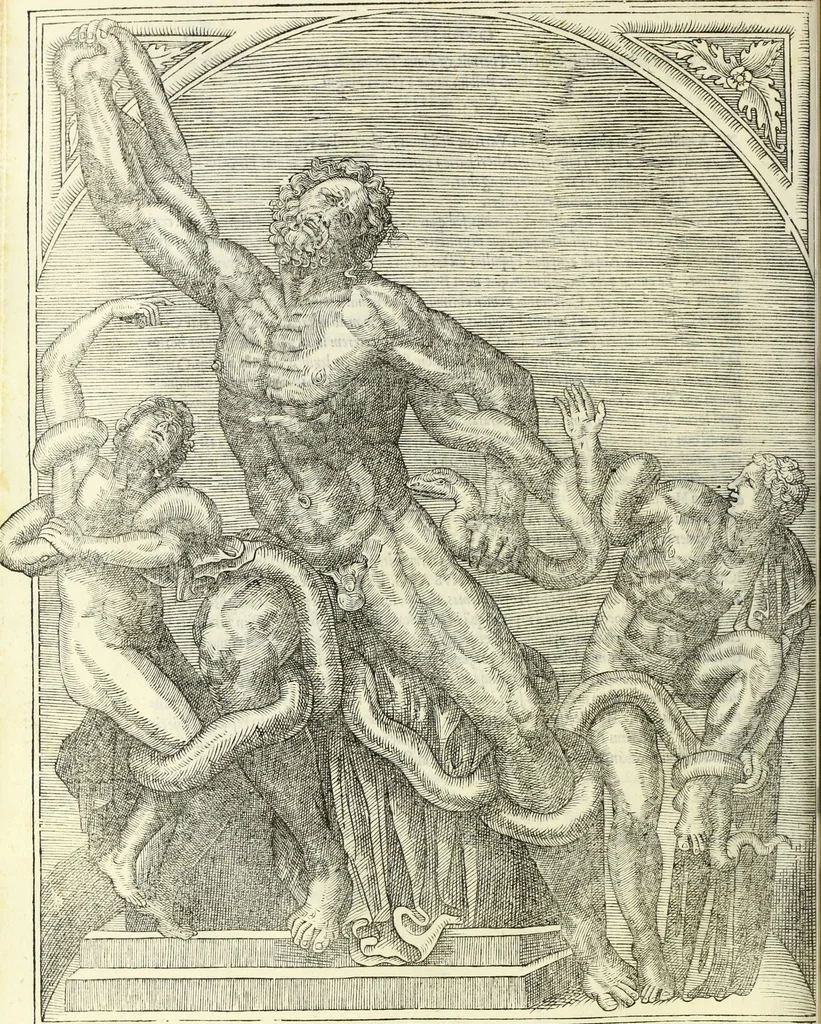 An illustration from Vrbis Romae topographia. Nvper ab ipso avctore nonnvllis erroribvs svblatis emendata. Addita etiam interpretatione Nominum, quae unica Litera, uel Syllaba in antiquis titulis scripta inueniuntur. Cui etiam ab eodem adiectae svnt qvam-breuissimae obseruationes de praenomine, nomine, & cognomine. De quibus etsi multi multa scriptsere, nemo tamen hactenus rei ueritatem attigisse videtur, 1544, leaf 97